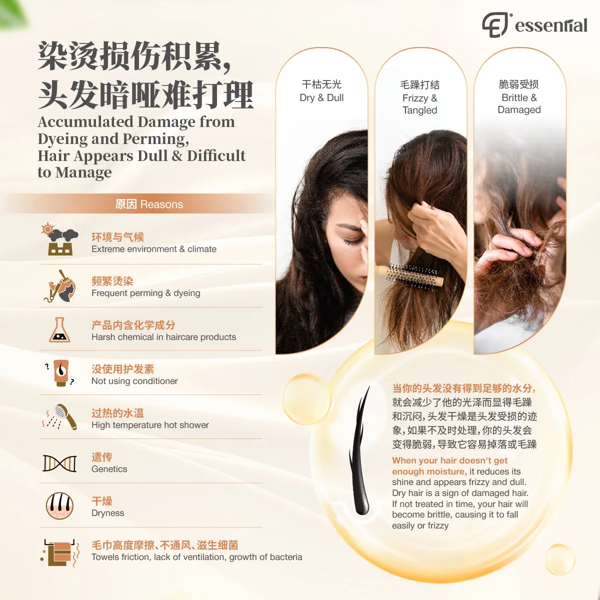 POSM_Deep Nourishing Conditioner_2