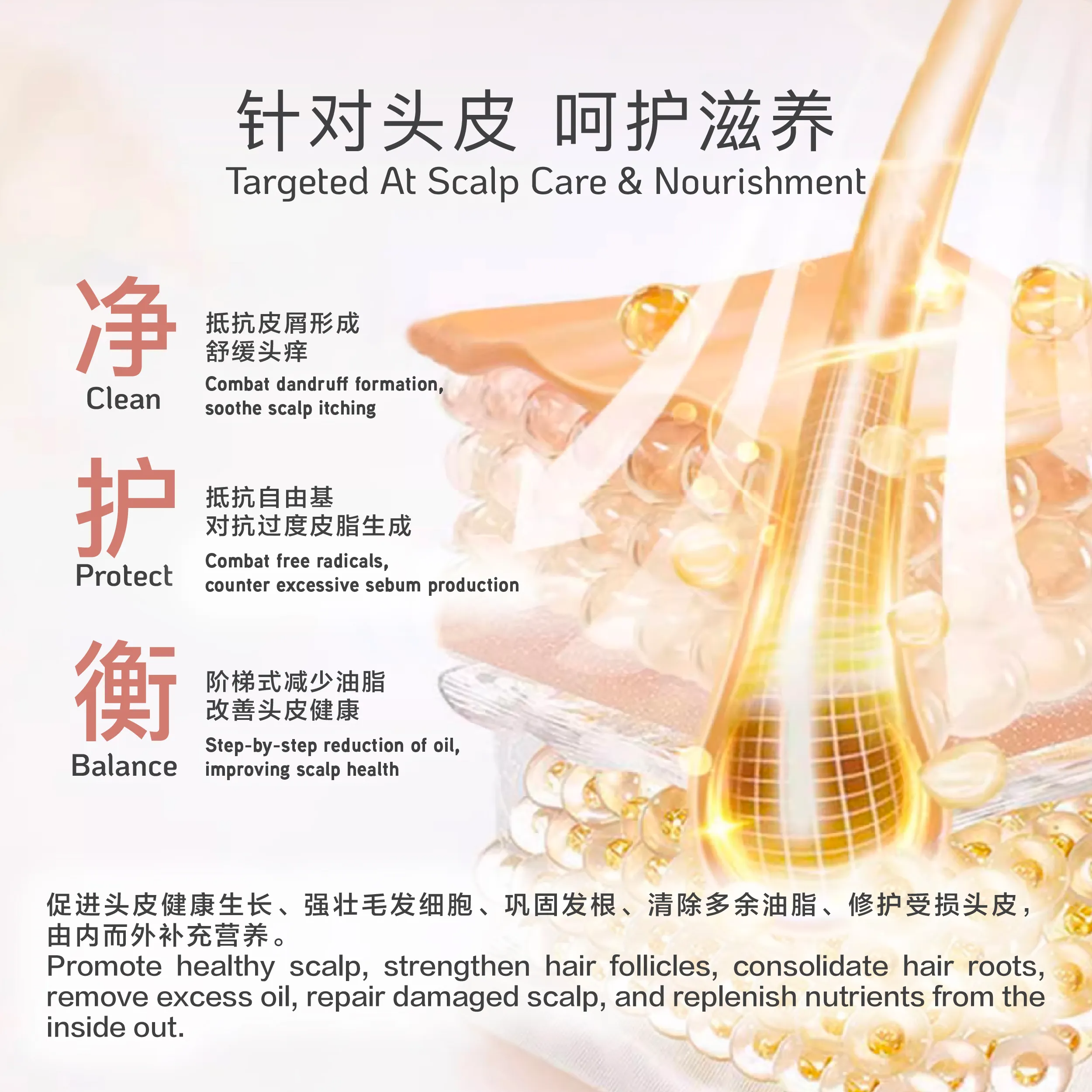 Scalp Shampoo POSM 2-04