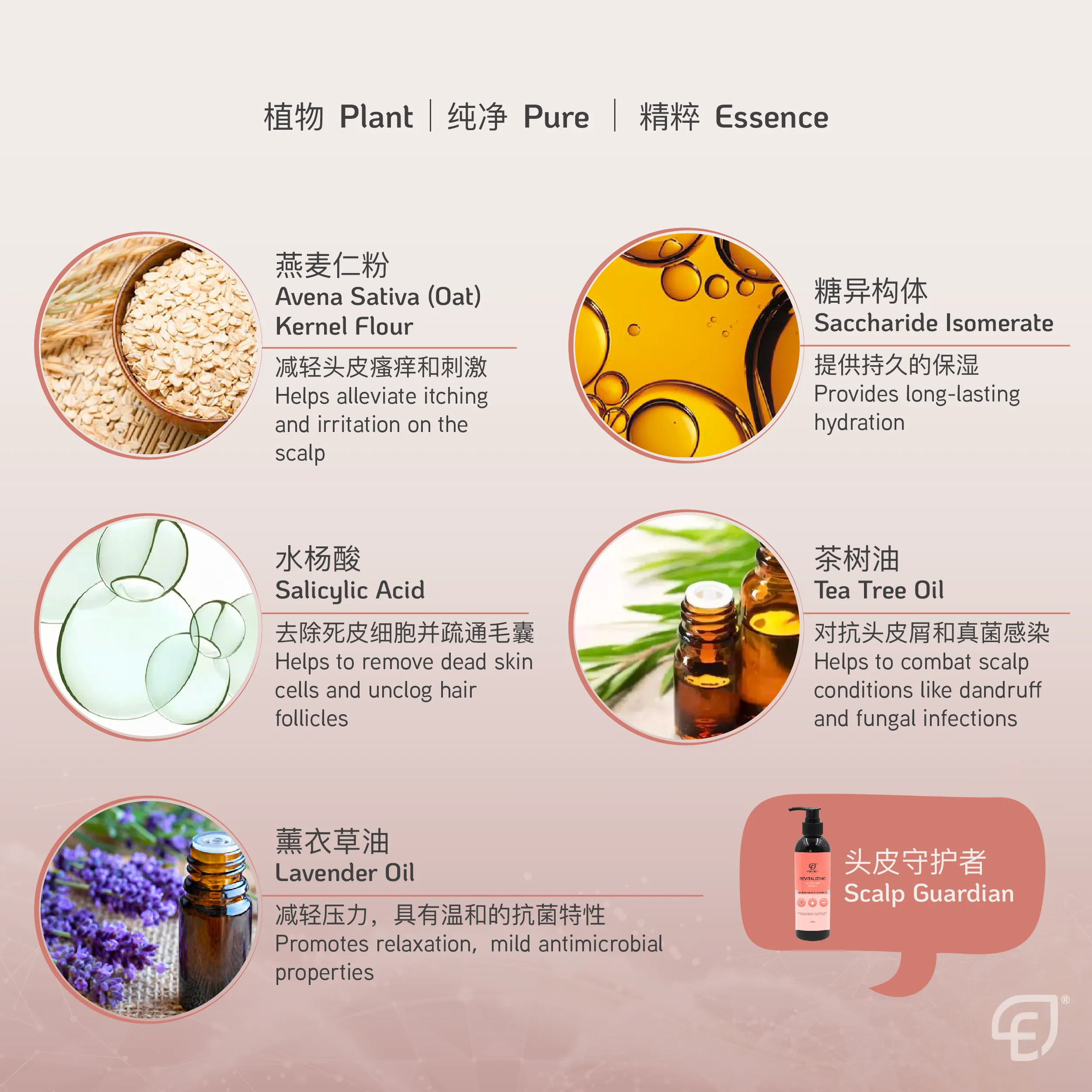 Scalp Shampoo POSM 2-07