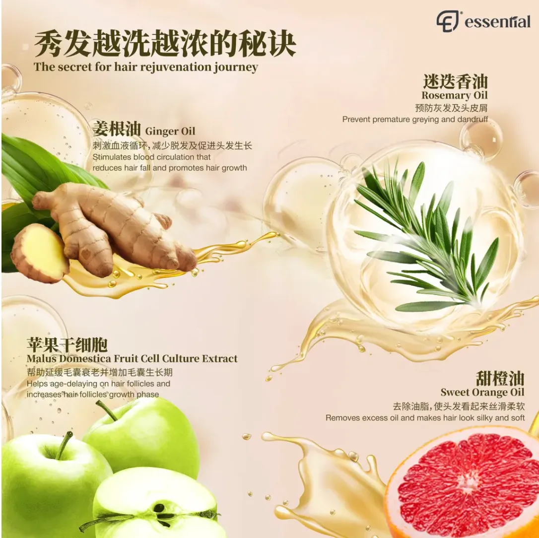 Screen Shot 2024-09-02 at 10.56.59 AM