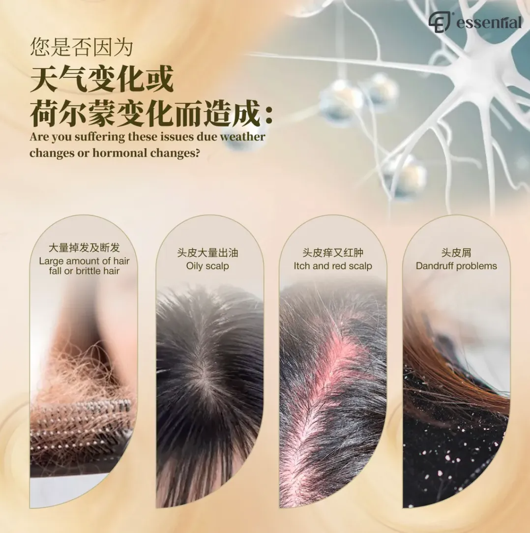 Screen Shot 2024-09-02 at 10.56.49 AM