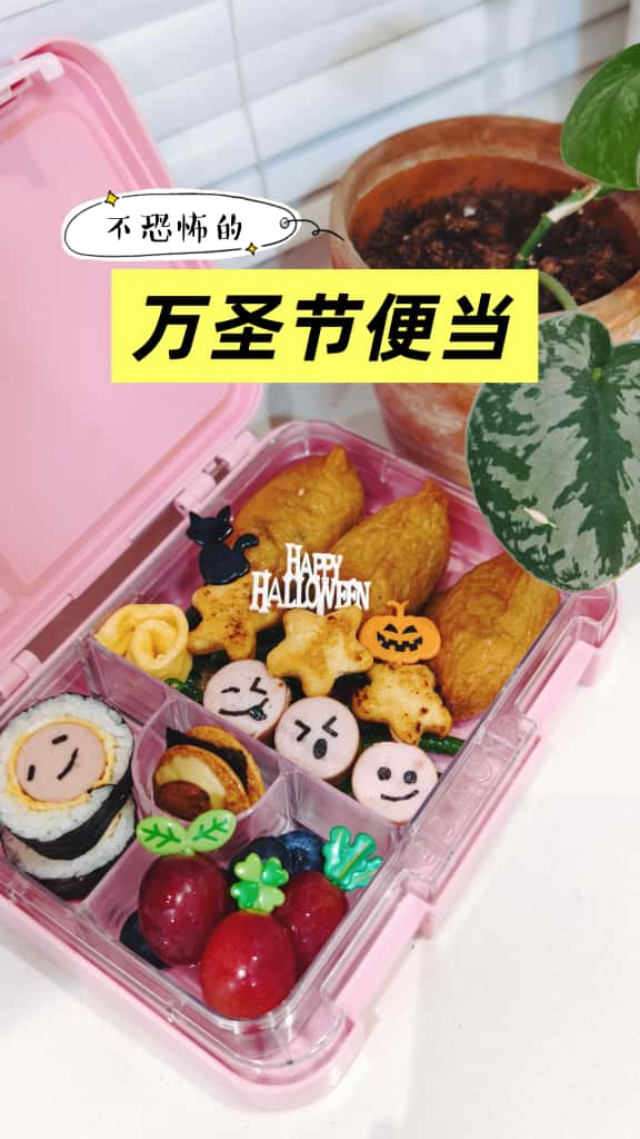 WhatsApp Image 2025-11-11 at 10.24.04 AM (1)