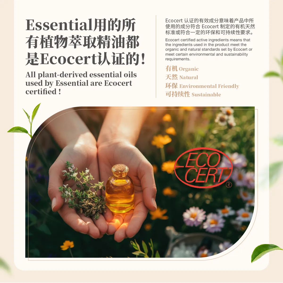 POSM_Hair Serum Protection_11