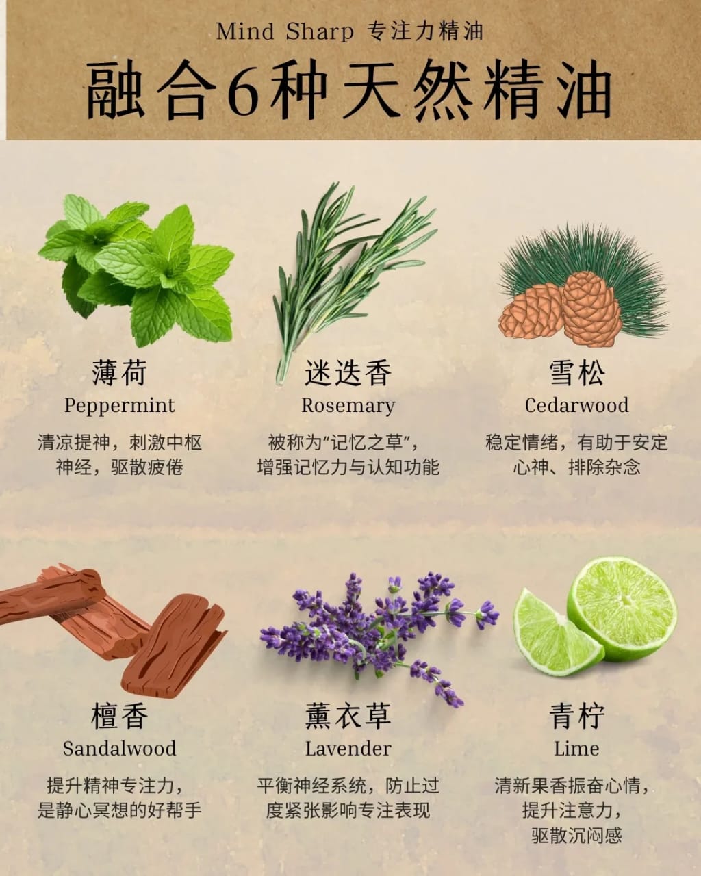 WhatsApp Image 2026-04-23 at 10.03.18 AM (2)