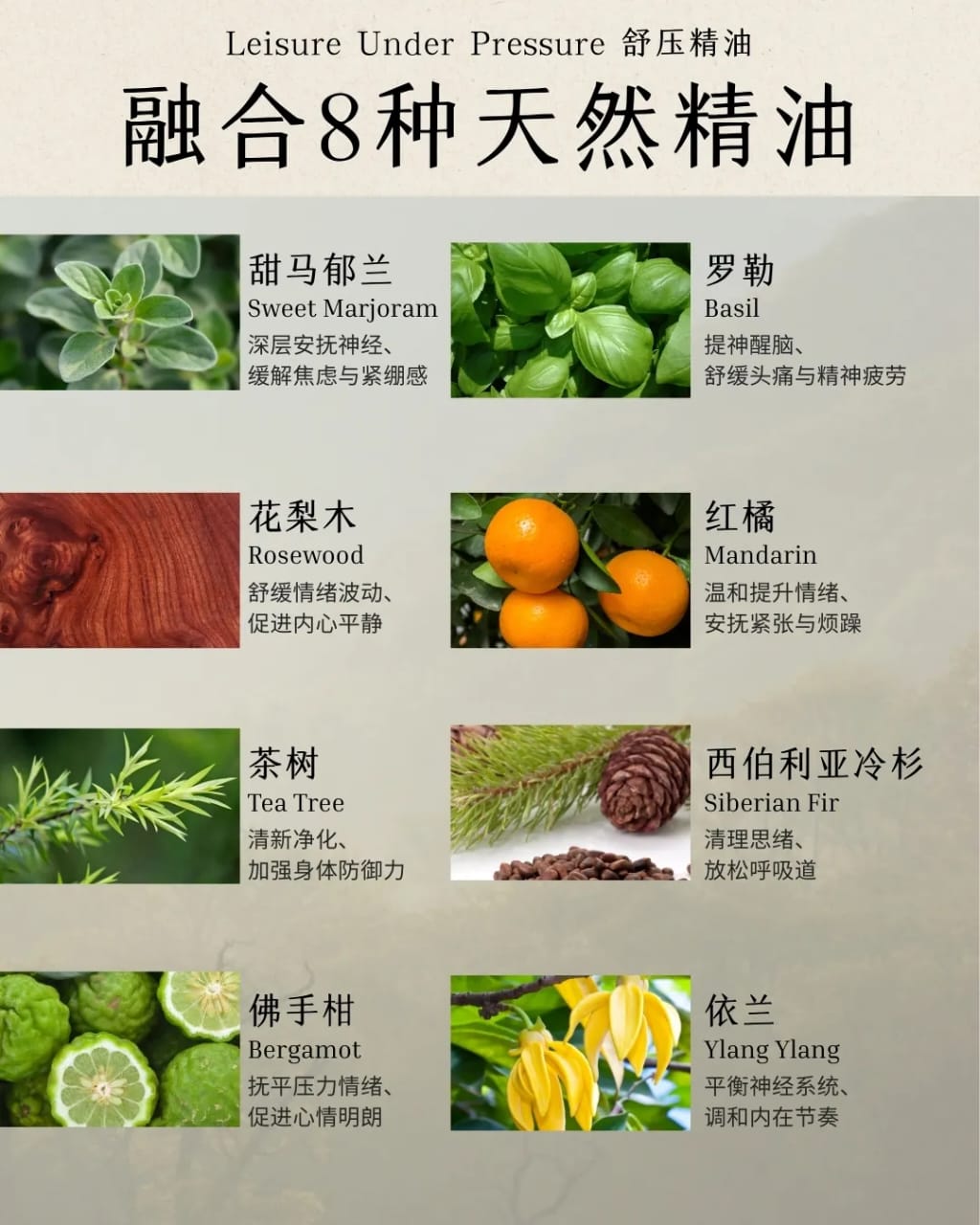 WhatsApp Image 2026-04-23 at 10.03.27 AM (2)