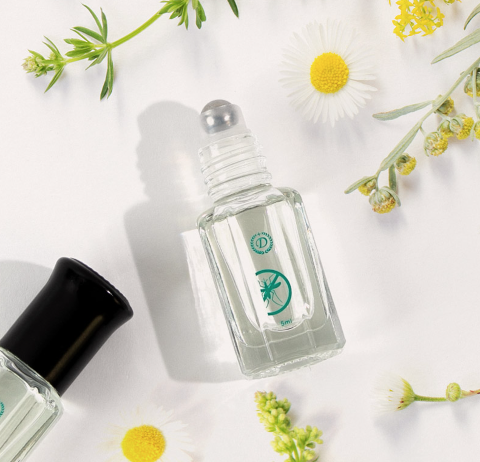 Screen Shot 2026-03-05 at 11.32.45 AM