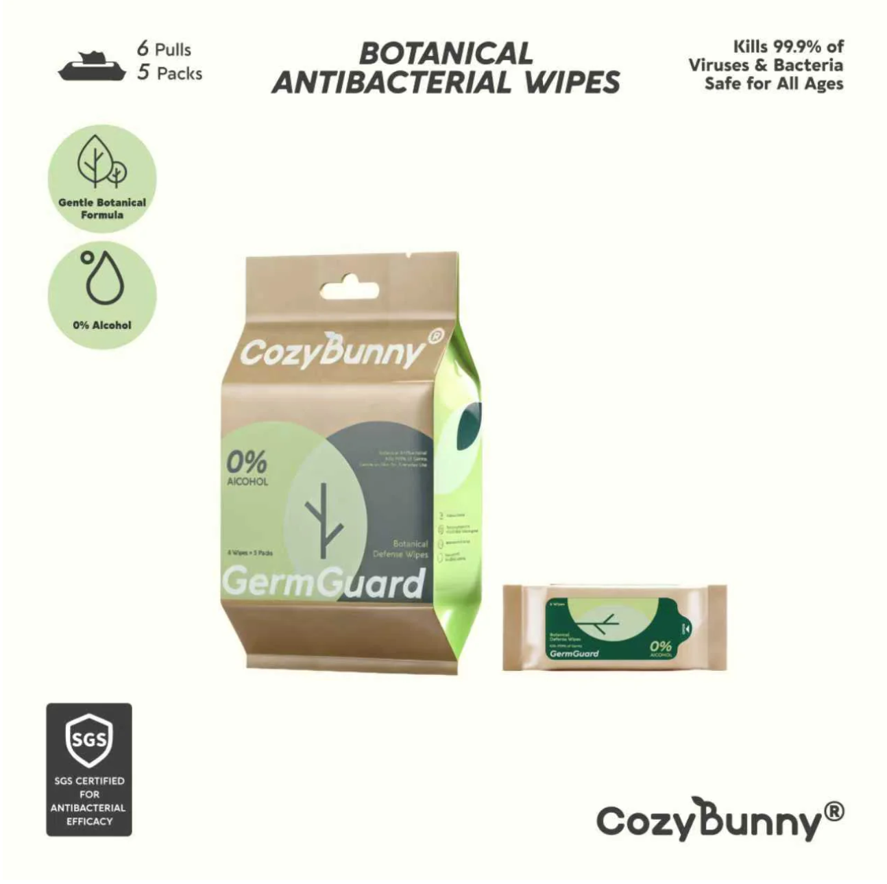 Wet Wipes (5 x6s)