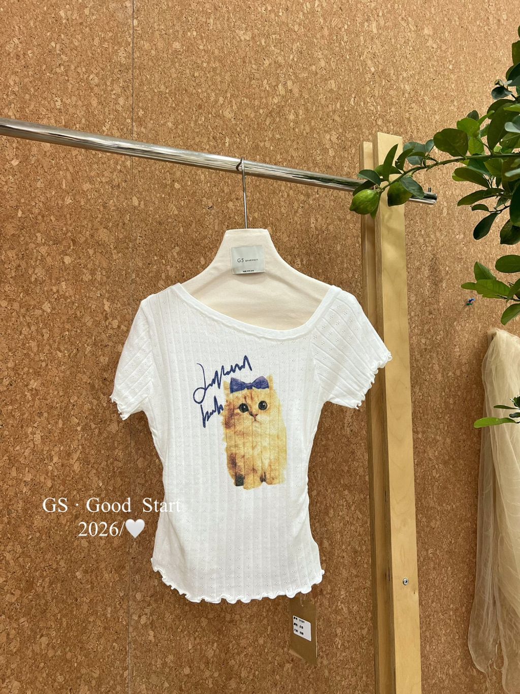 image_2CE00A18-199B-44D2-BB4F-93829EEB6BD1_1782732189