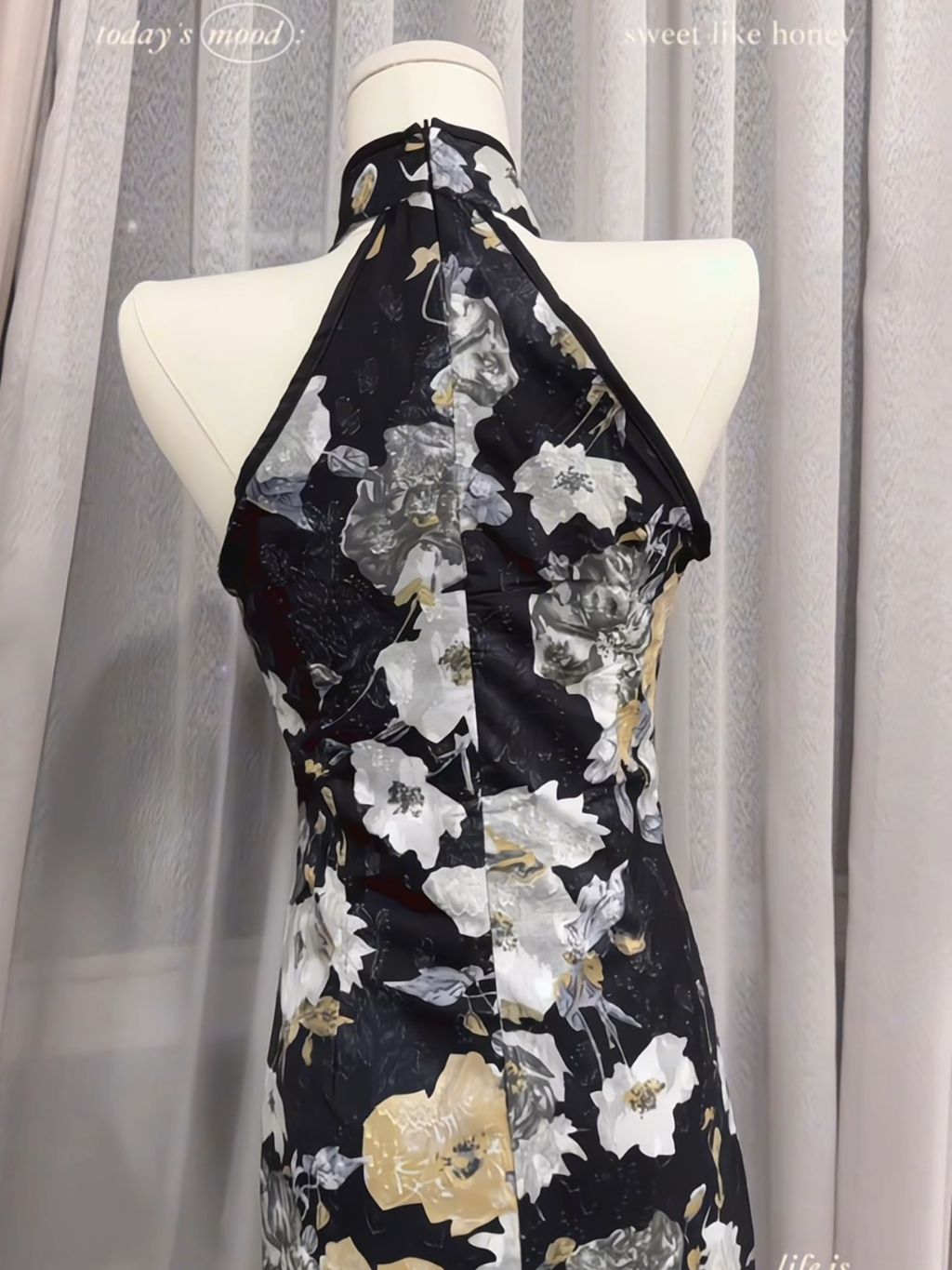 IMG_8219-1735844597824