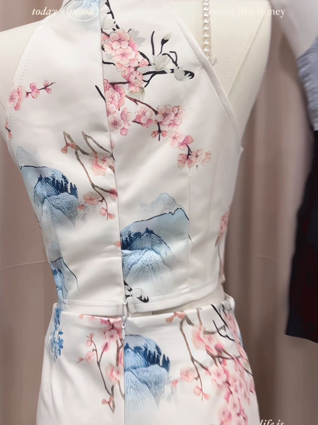 IMG_8481-1736019982577