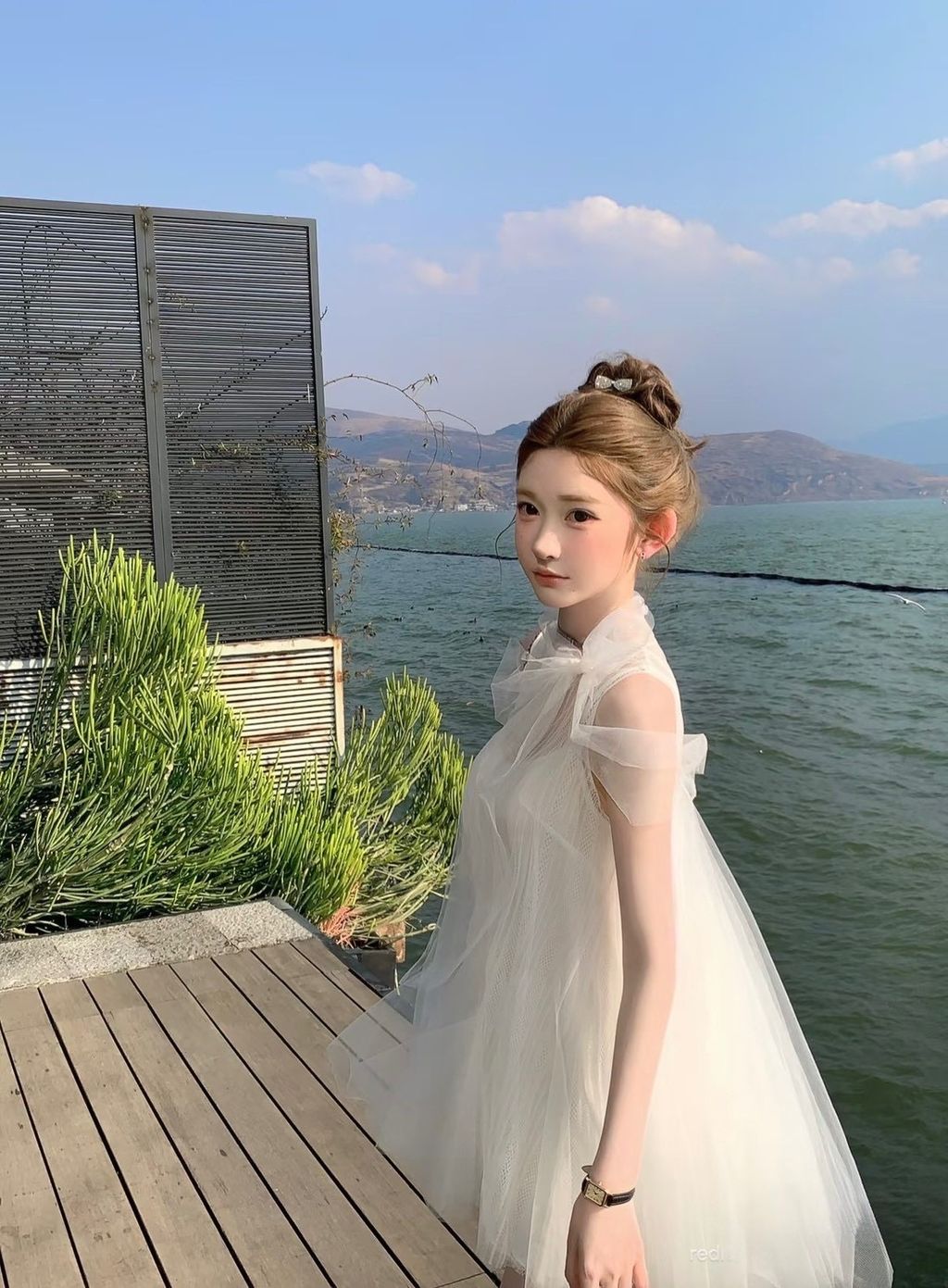 image_0AAE4B89-AC91-4E13-8379-66796977BF59_1766143955