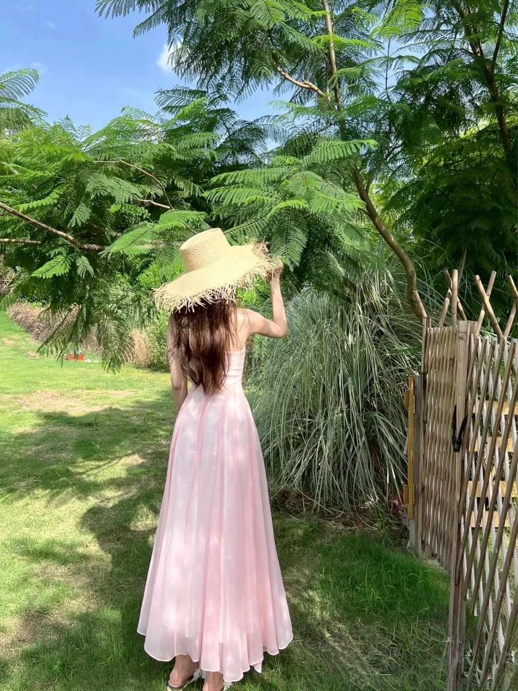 image_0DB2DF65-30A6-4478-9307-C81B87571D80_1766210373