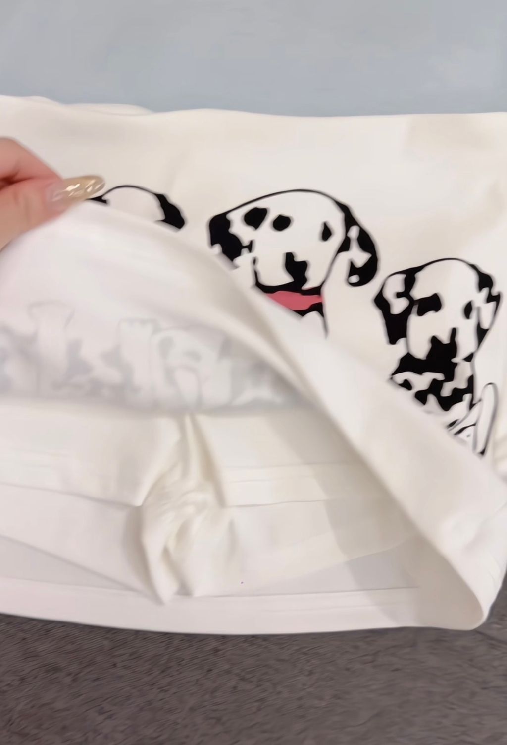 image_BC17C231-2E5A-4935-AFCD-2D5BD99DAFB3_1766330335