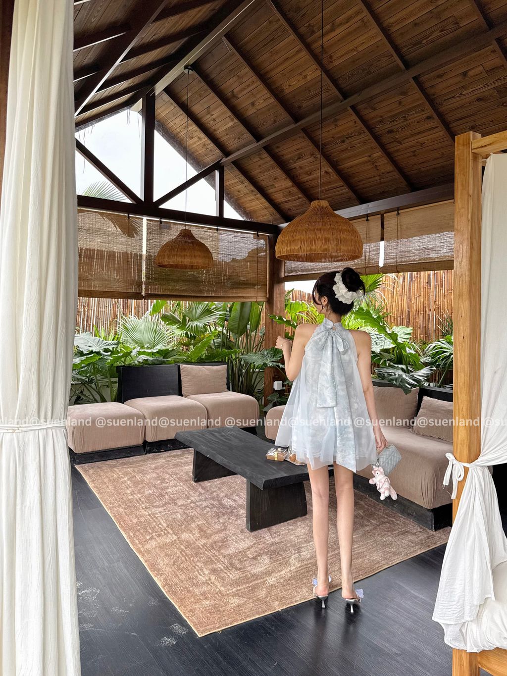 image_1CB365D4-2632-4399-8E8F-5C65775688EA_1766901806