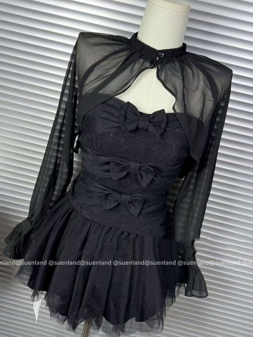 image_79A6834C-EB8C-4678-A2C7-8C2FD77937A6_1772014763