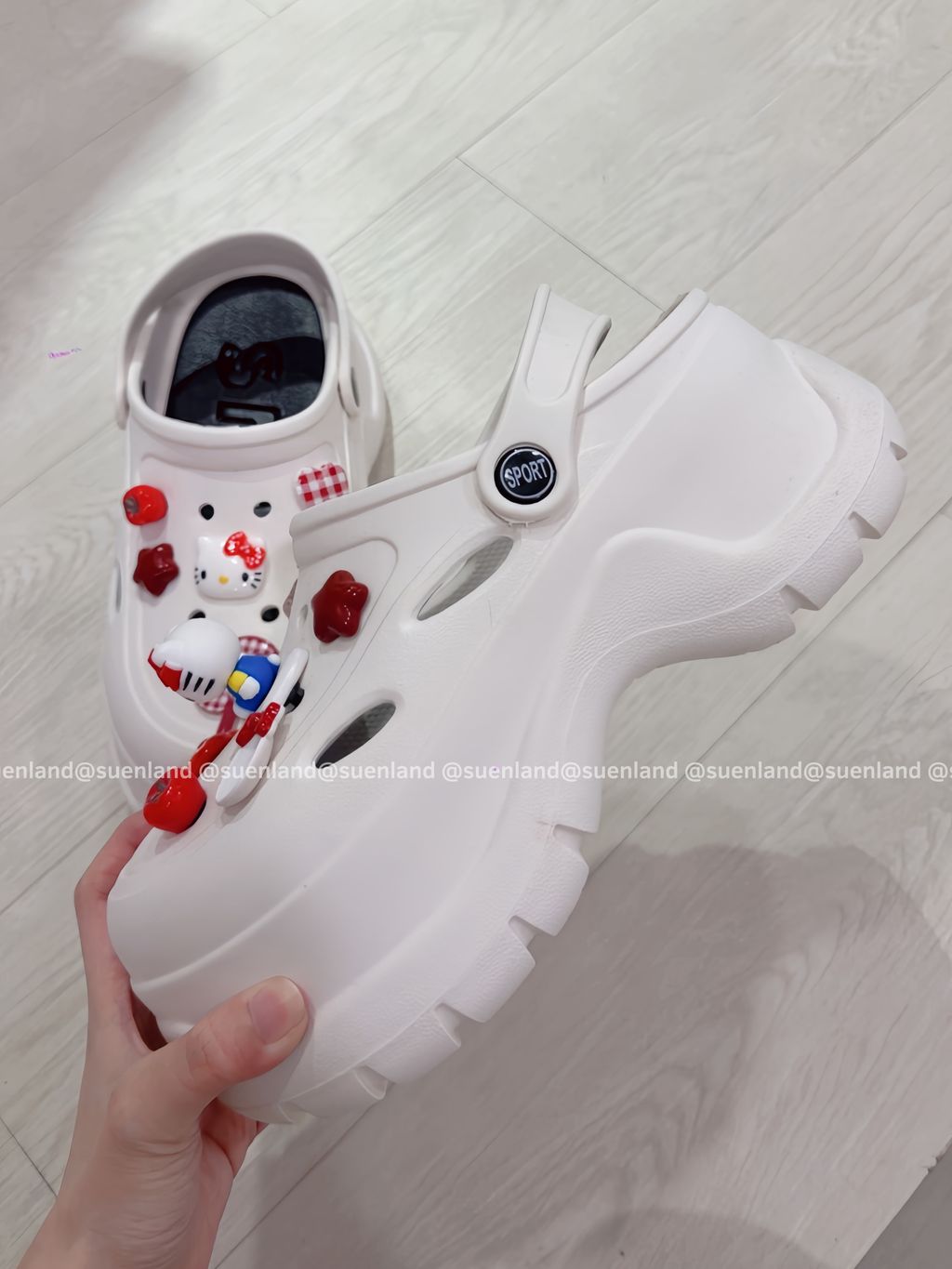 image_0B4D811E-35FC-4107-BA14-DD21DCBDCB5B_1772446337