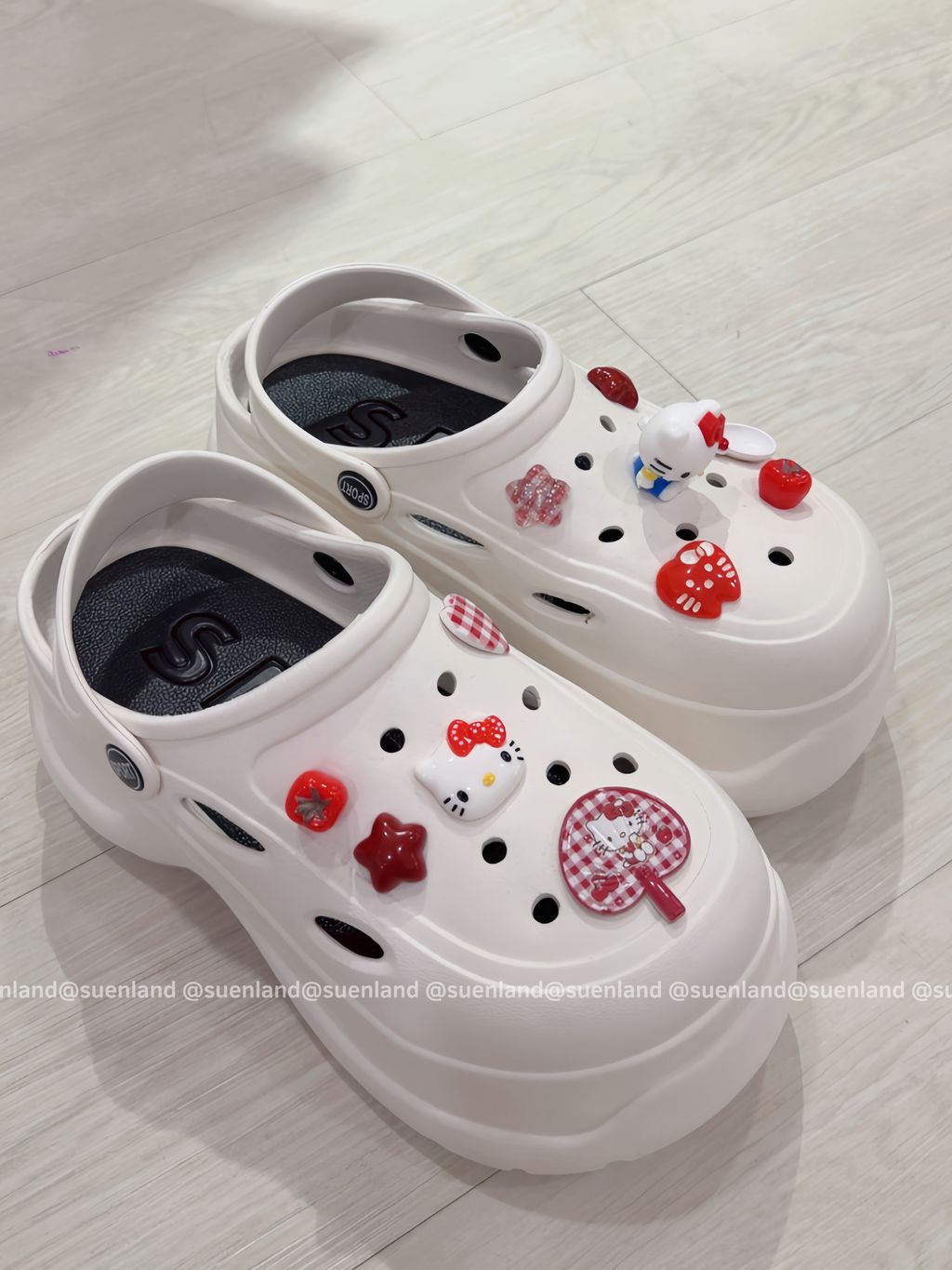 image_D9DEAA52-D8B2-4478-AA16-A674B5BAD7AE_1772446337