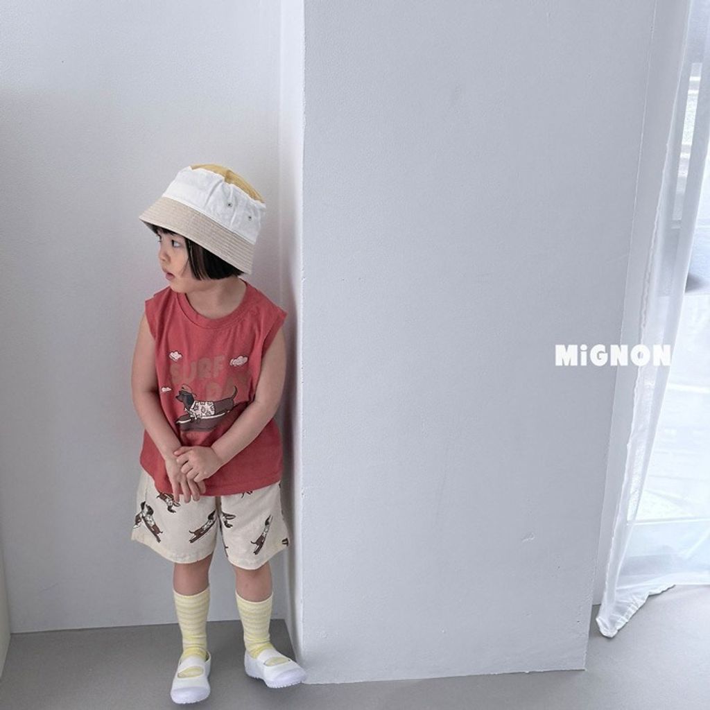 imgi_24_07_202605061539O