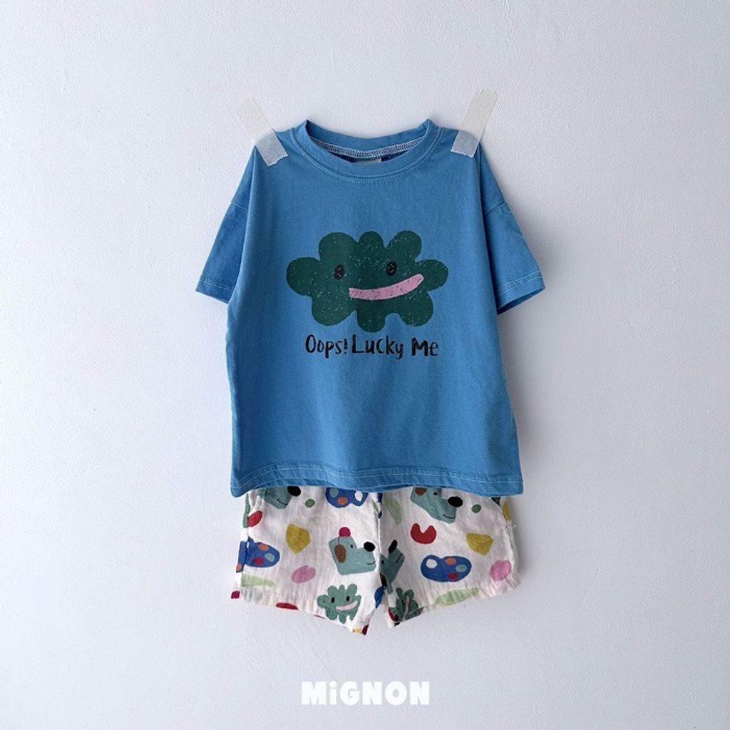 imgi_29_09_202605061534T