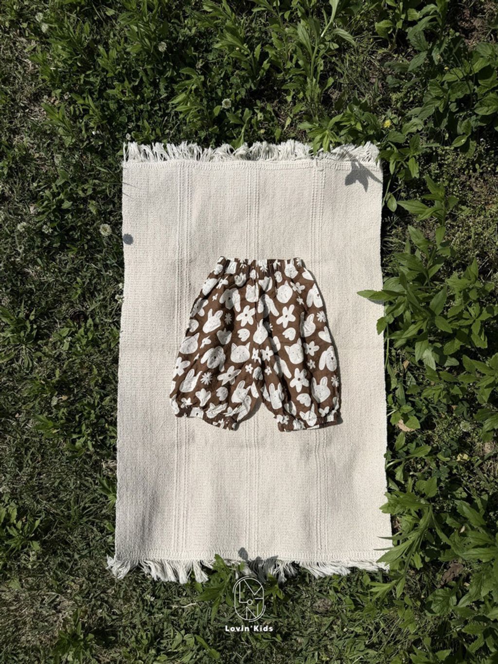 image_4BCE8983-0BD2-4B0D-8442-2442932106DA_1779799201