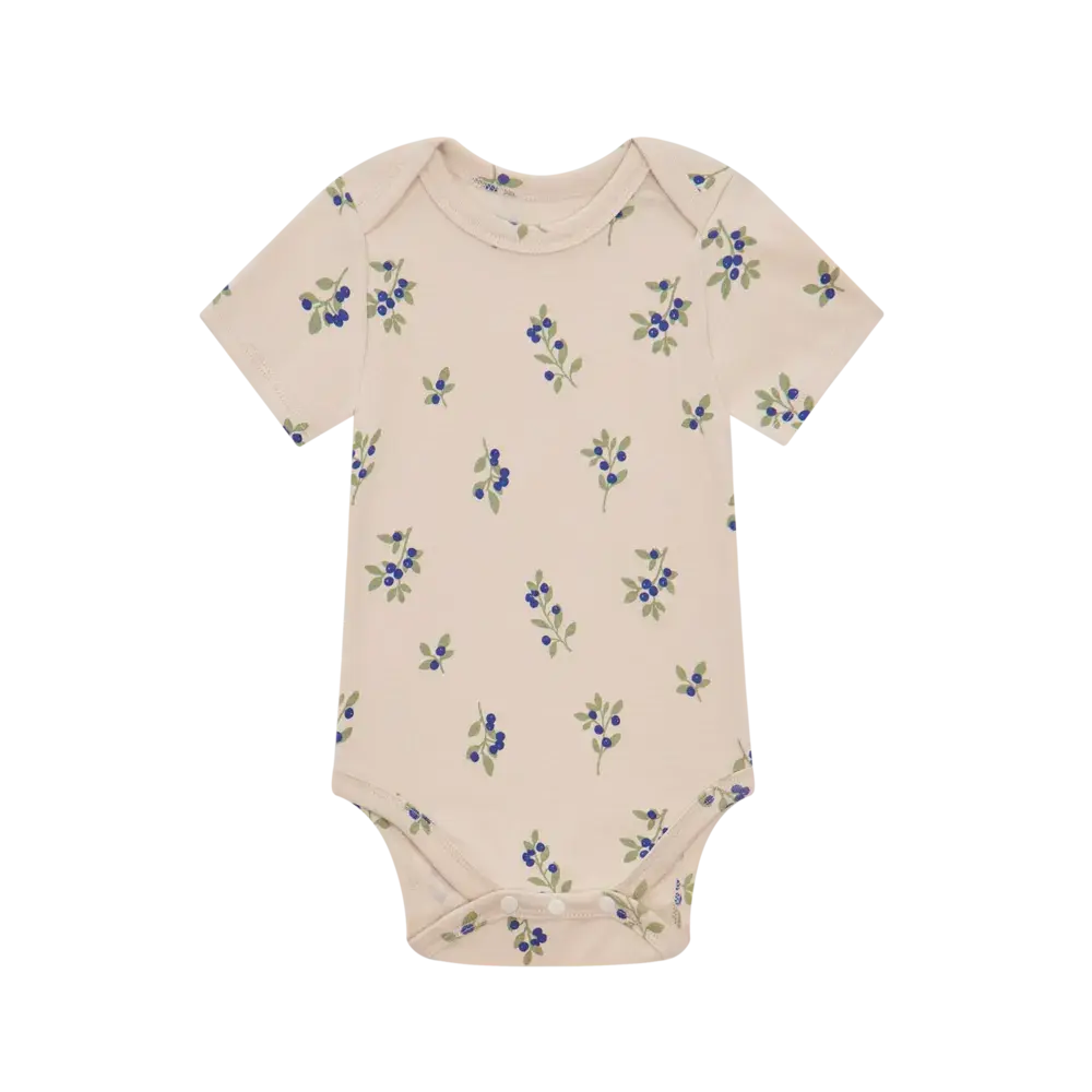 image_DAD31B01-09C5-4869-B934-AF34E12C64A7_1792049020