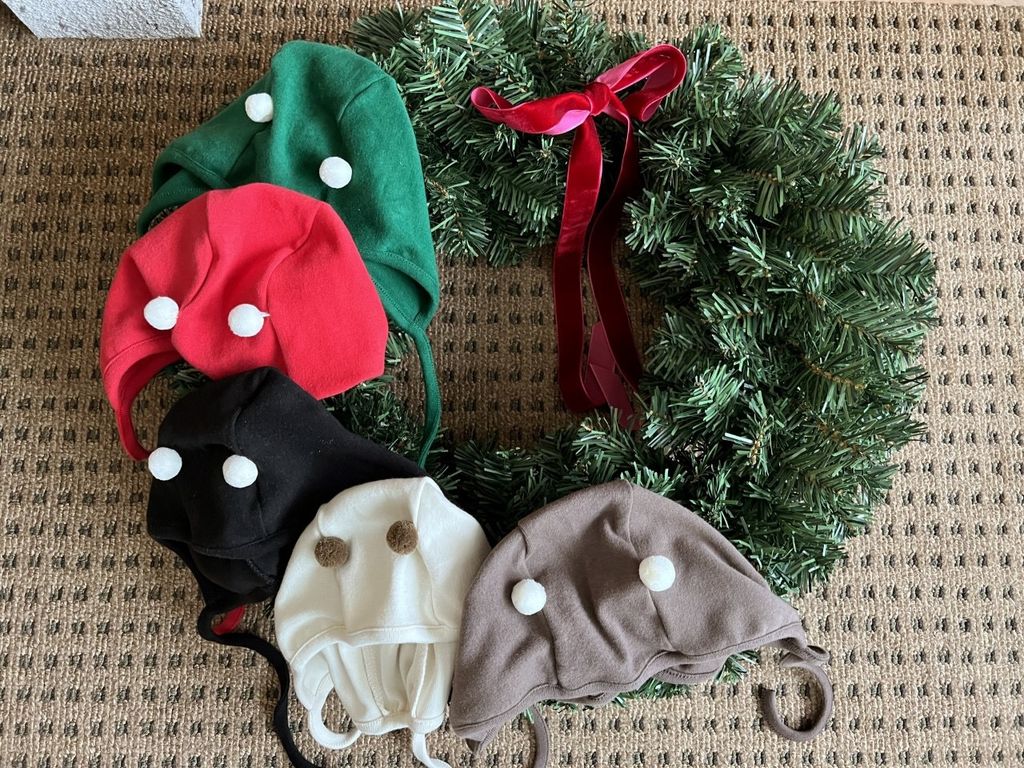 IMG_3705-1705294275280