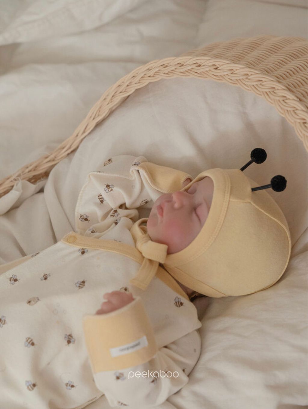 IMG_0313-1708308922882