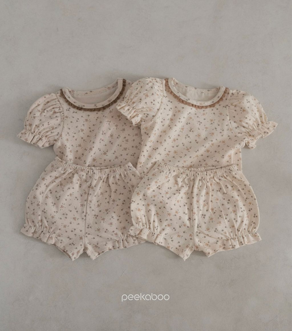 IMG_1377-1709210069716