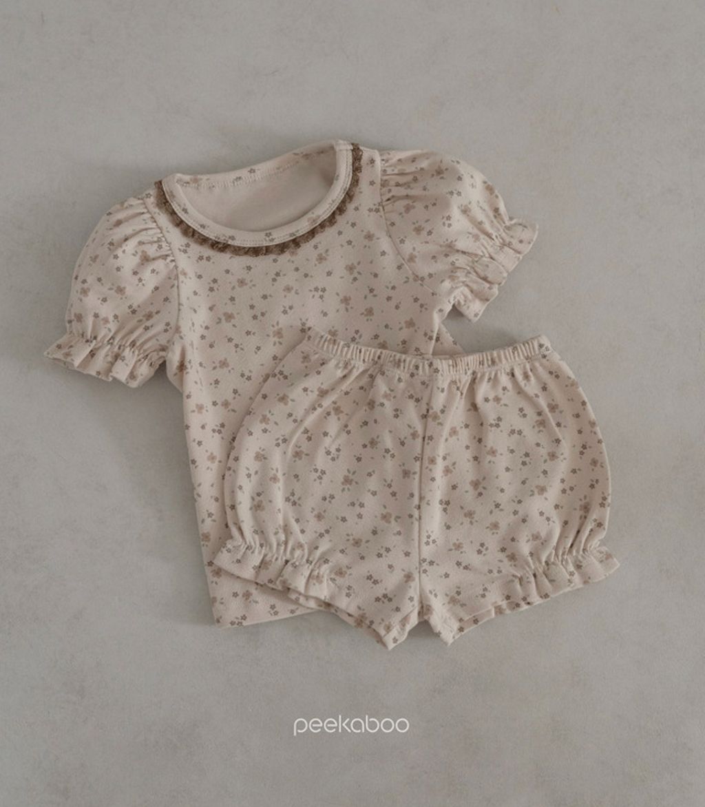 IMG_1379-1709210069726