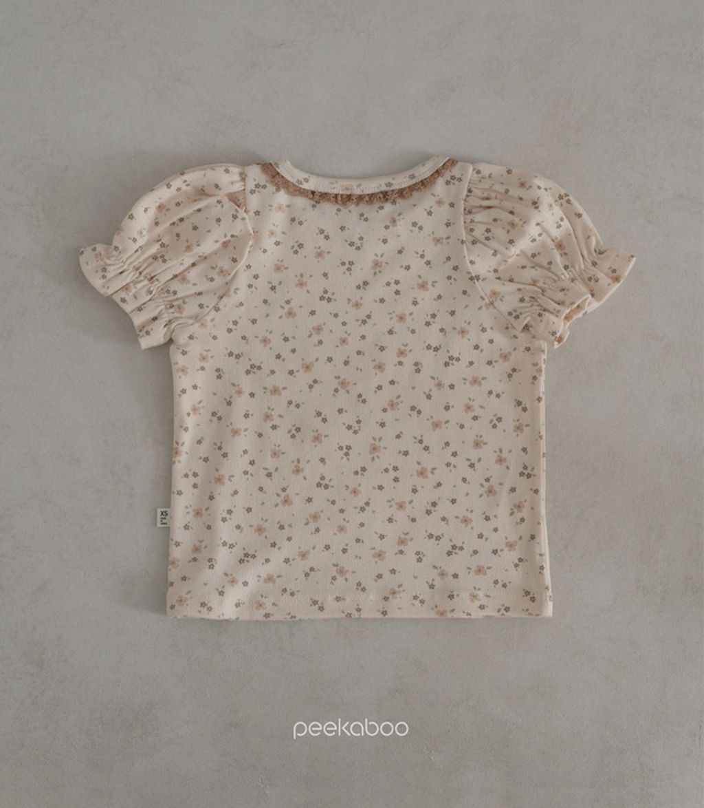 IMG_1381-1709210069747