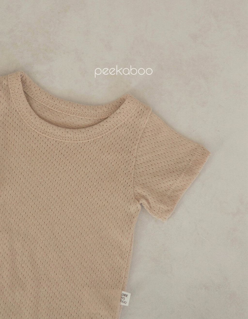 IMG_7288-1711592584474