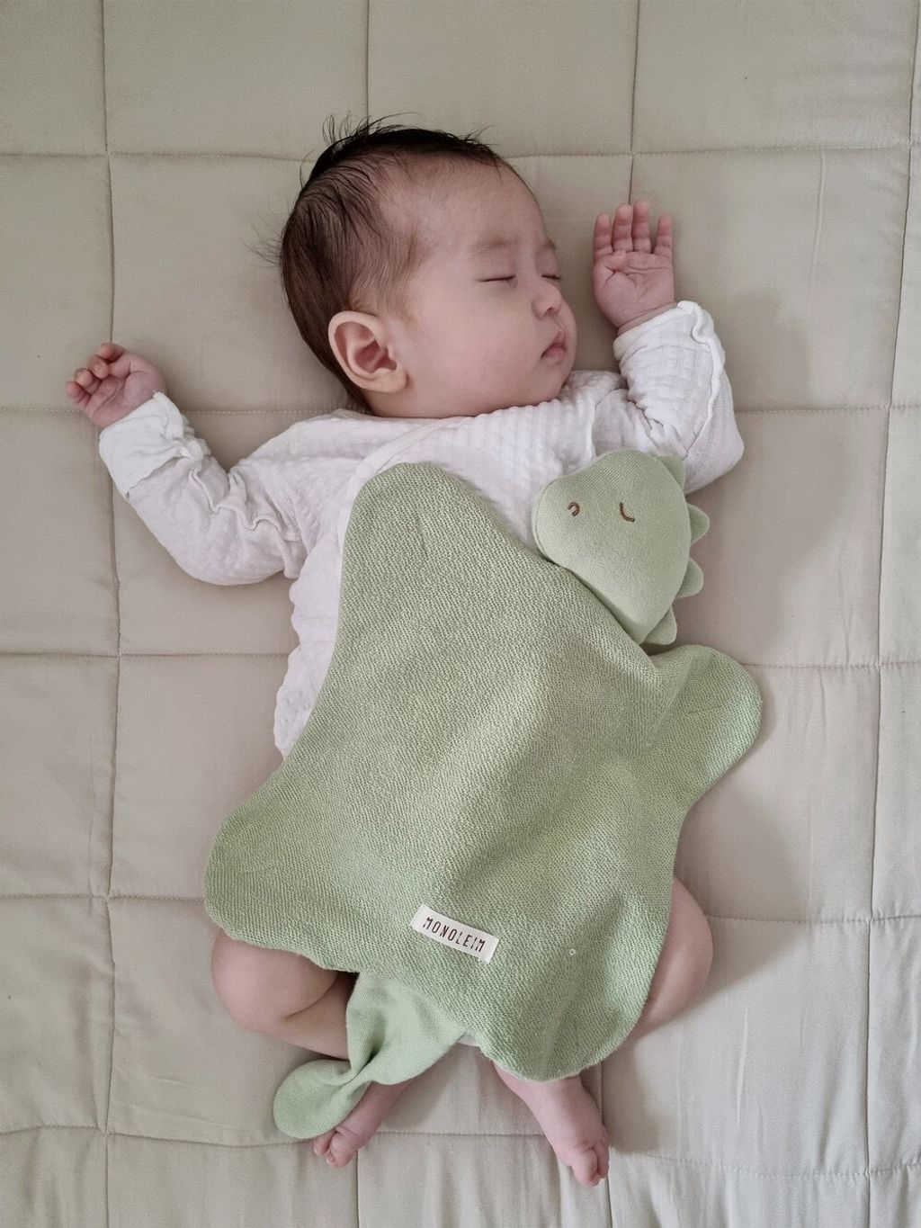 IMG_7381-1711596815645