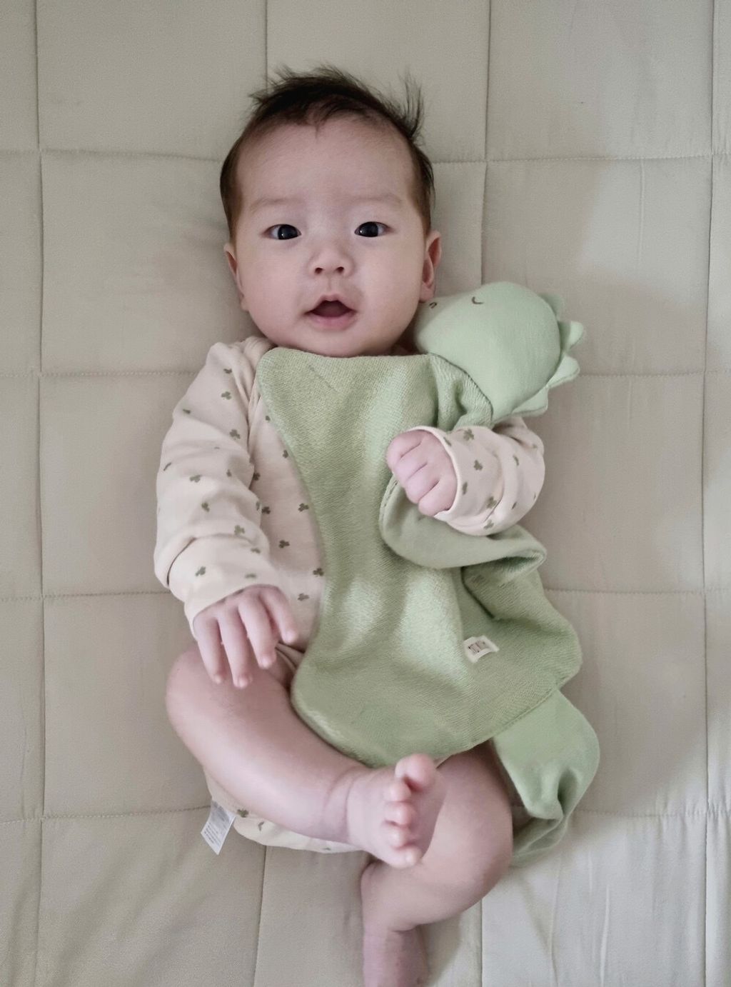 IMG_7383-1711596815677