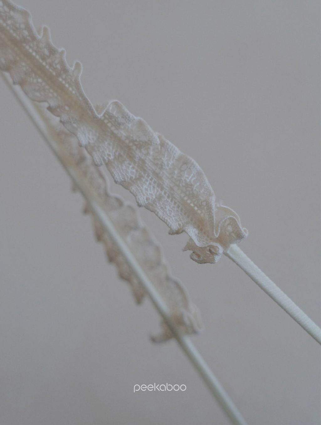 IMG_6129-1713859525292