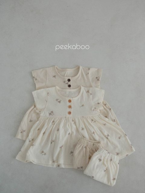 IMG_1381-1715840392790