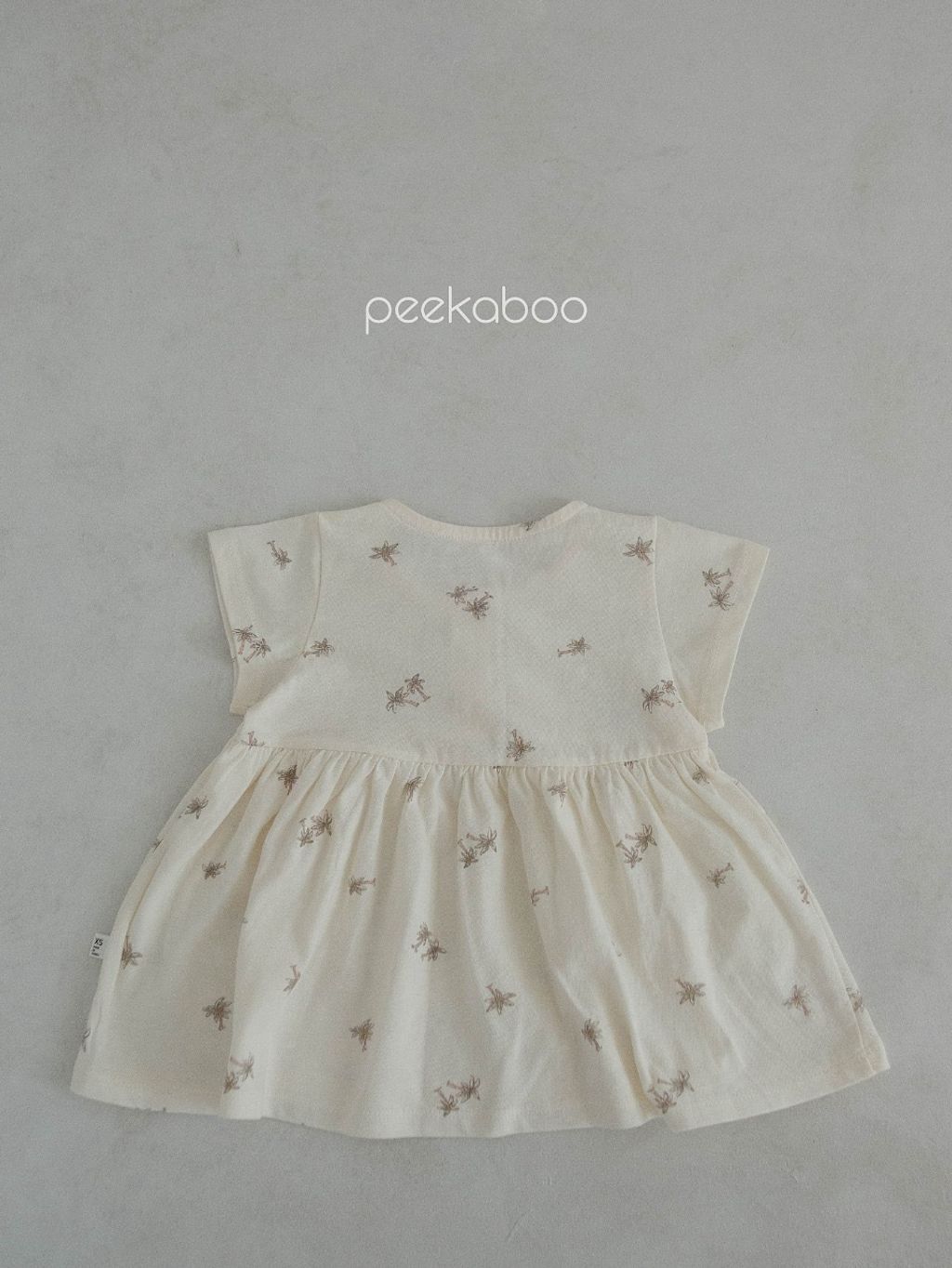 IMG_1388-1715840392845