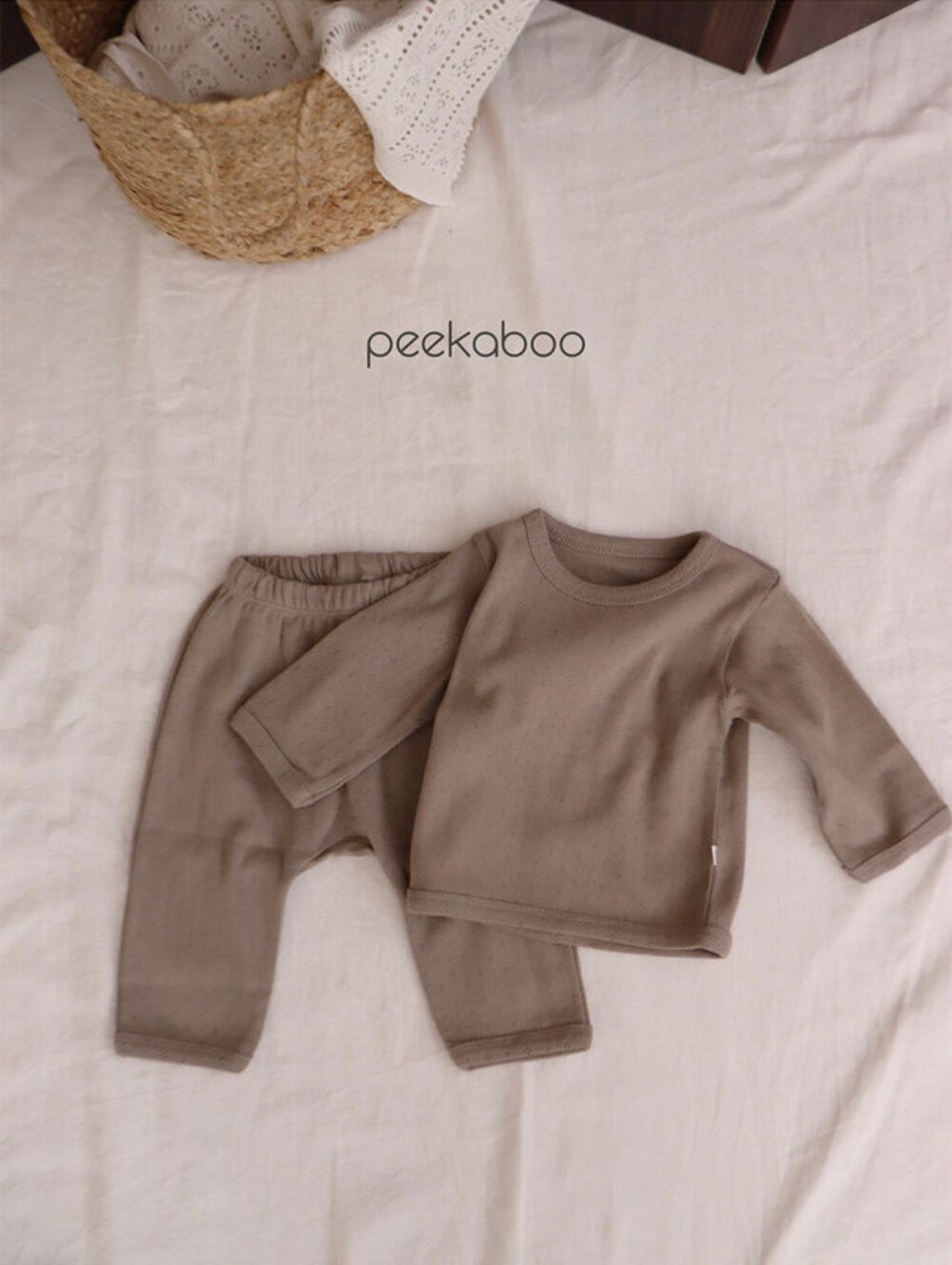 IMG_0227-1724647494269