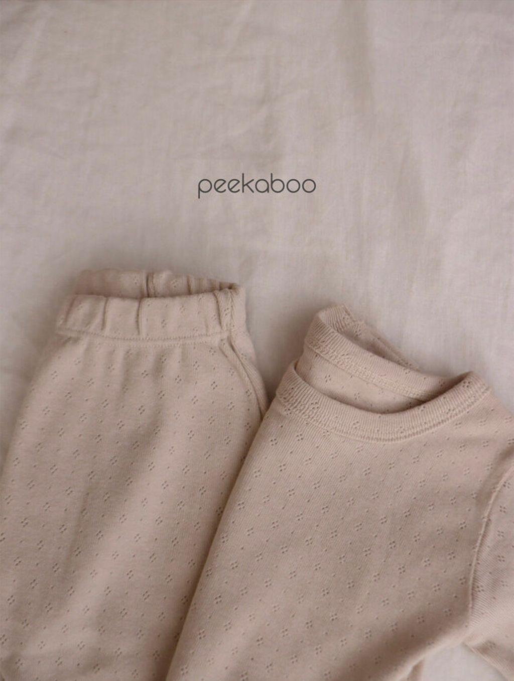 IMG_0226-1724647494281