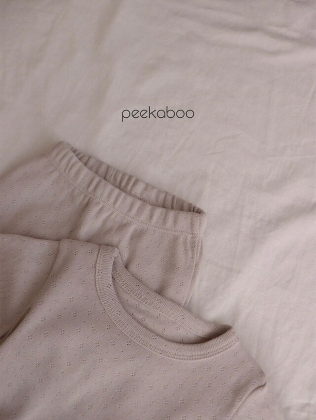 IMG_0234-1724647494368