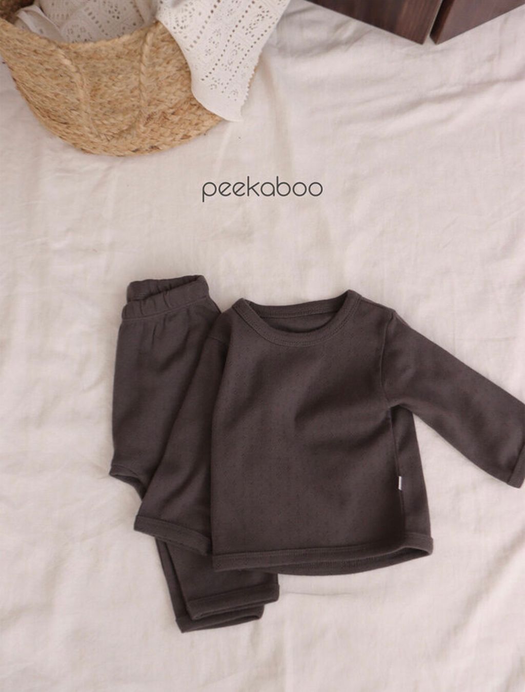 IMG_0235-1724647494379