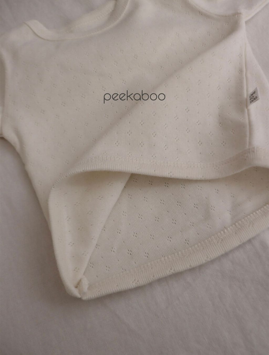 IMG_0239-1724647494388