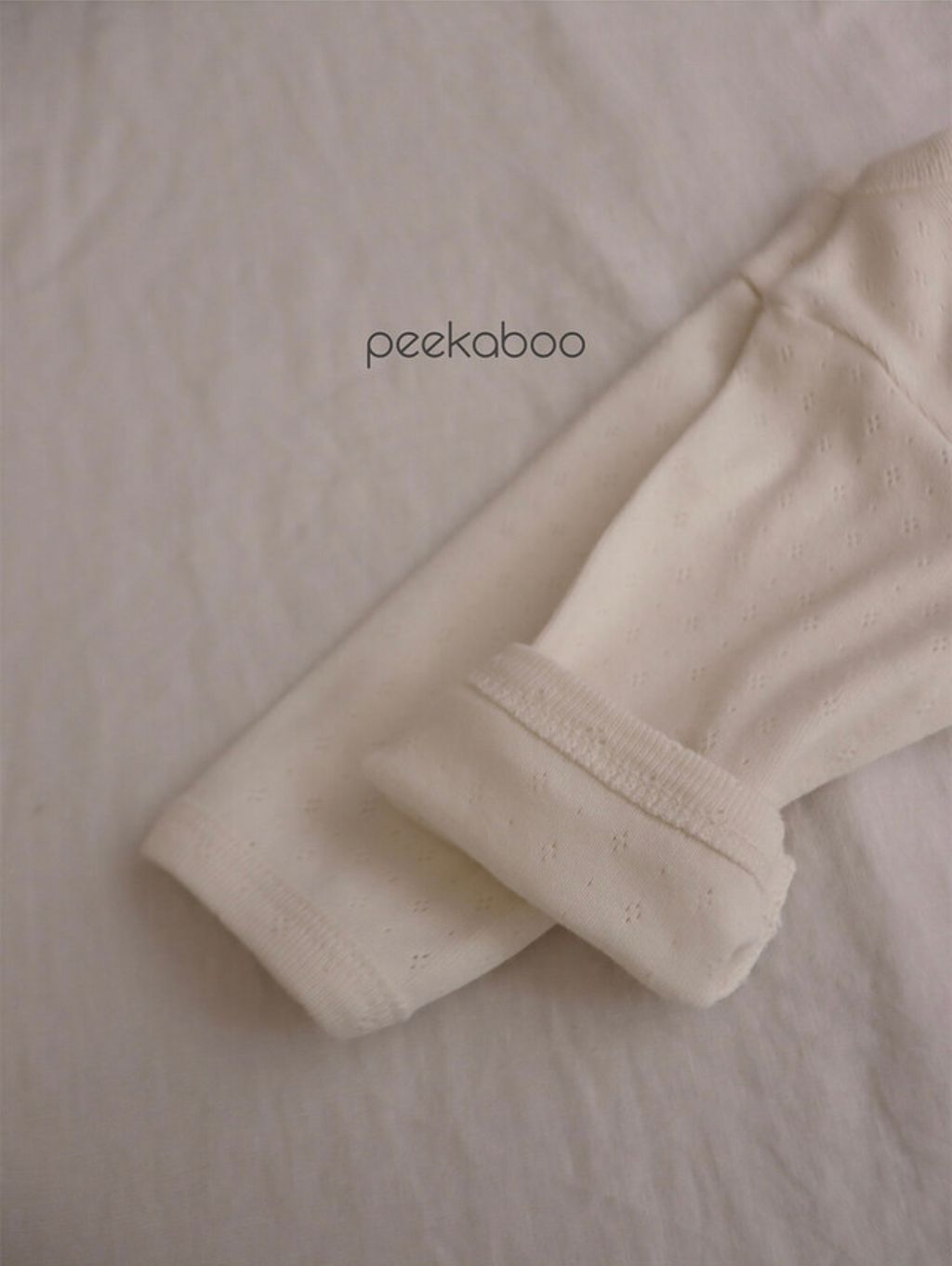 IMG_0238-1724647494399