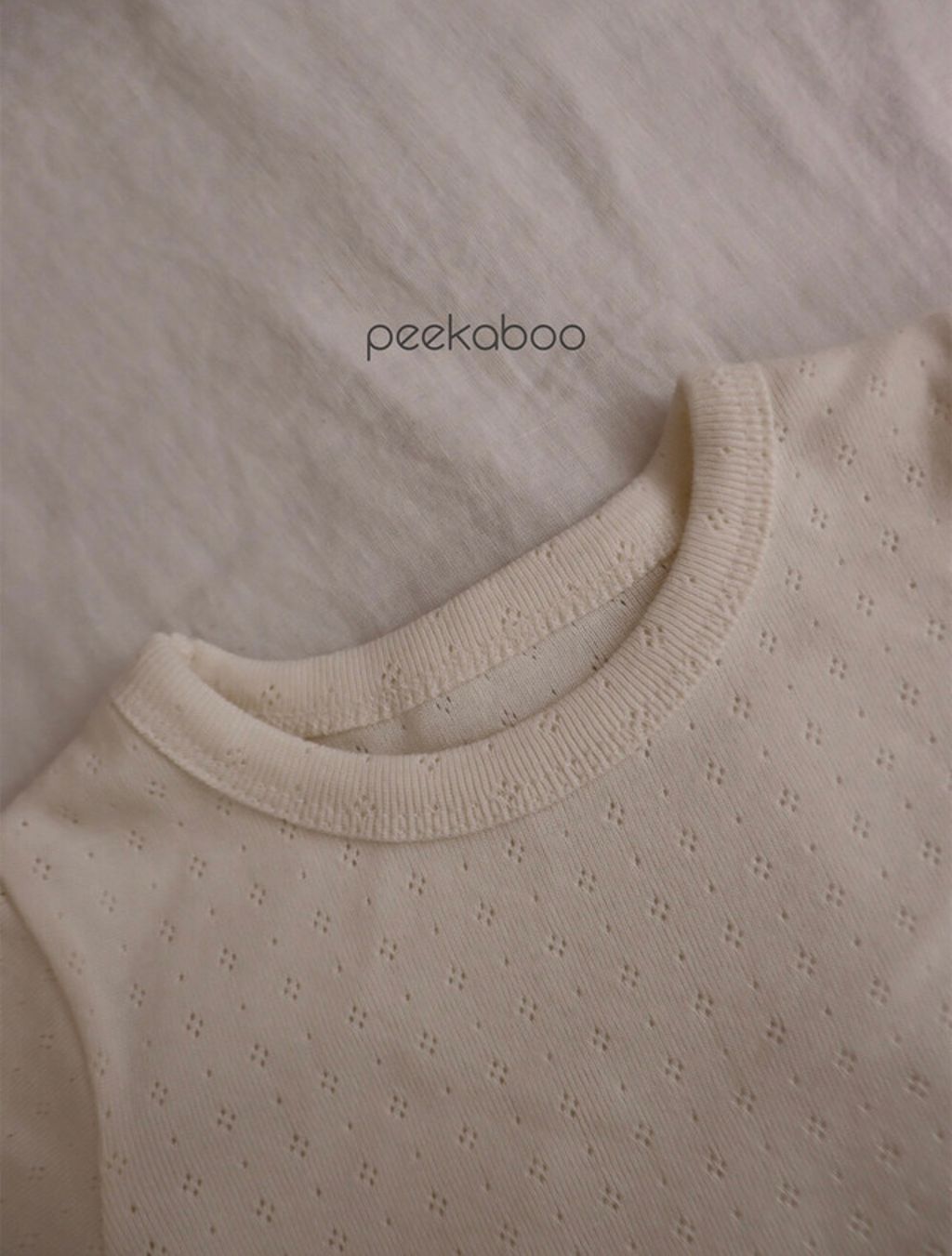 IMG_0237-1724647494408