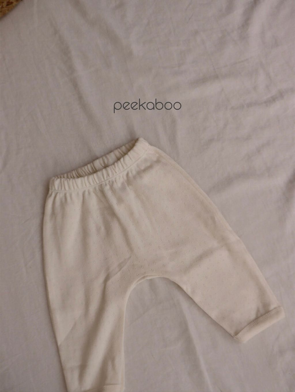 IMG_0240-1724647494448