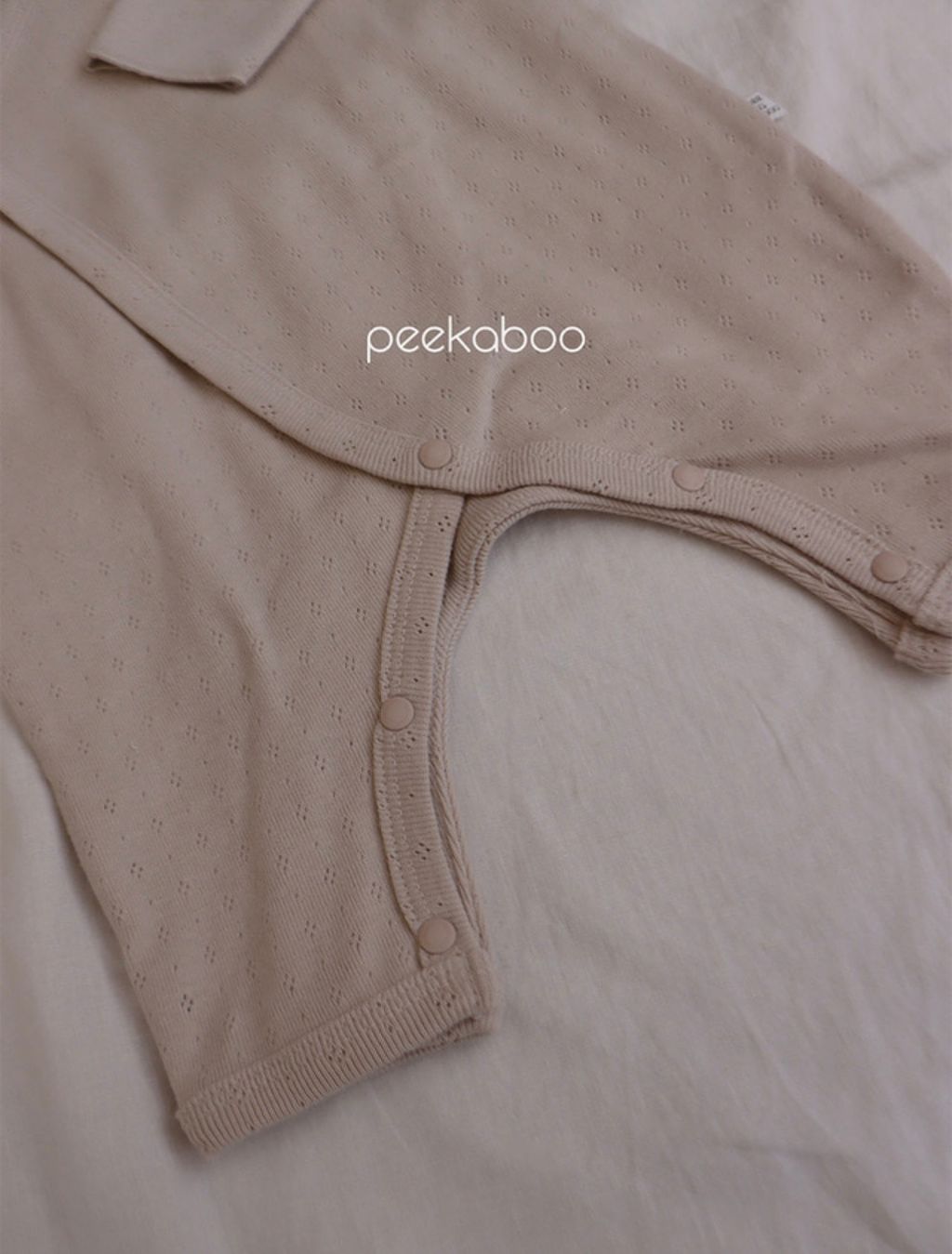 IMG_0277-1724648363702