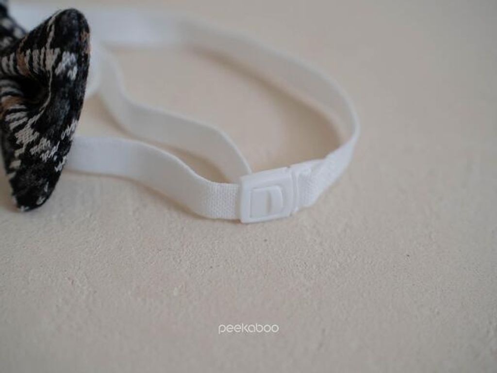 IMG_1931-1725455389558