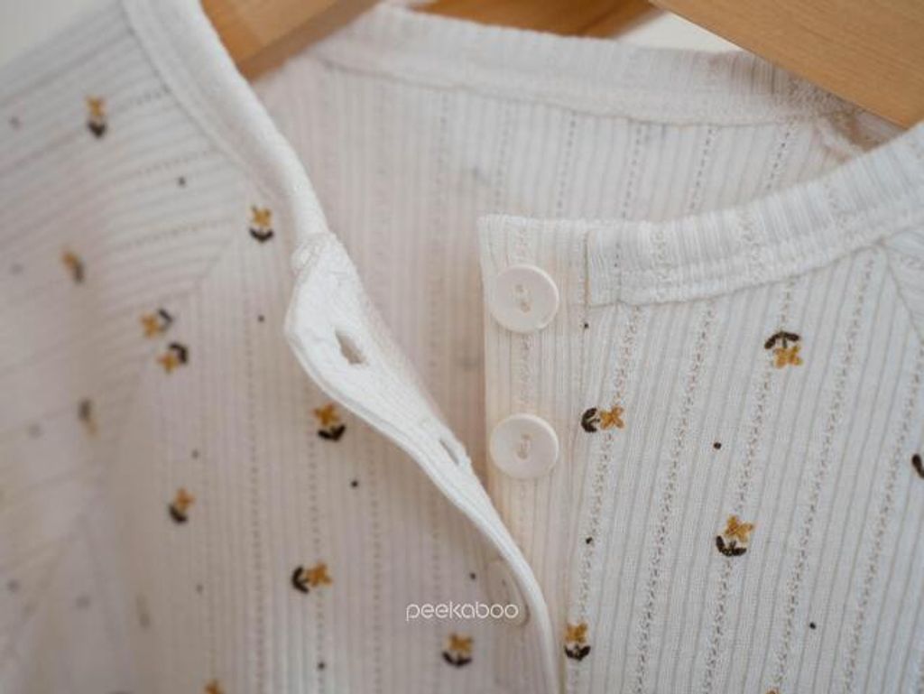 IMG_2487-1725527192171