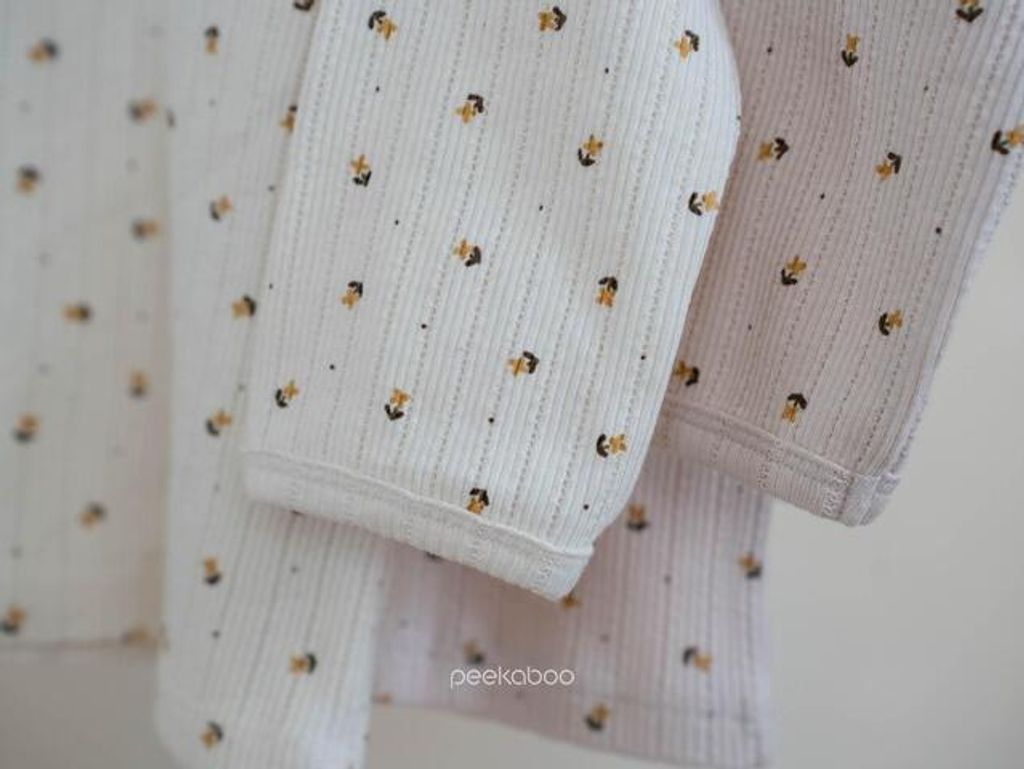 IMG_2488-1725527192180