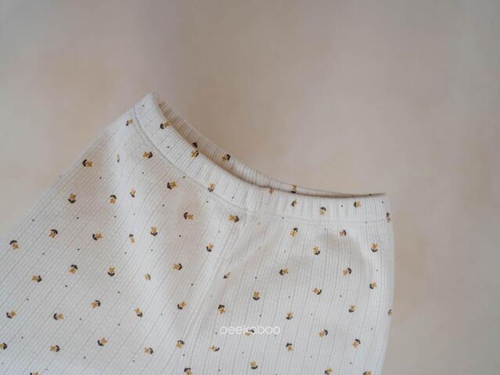 IMG_2489-1725527192188