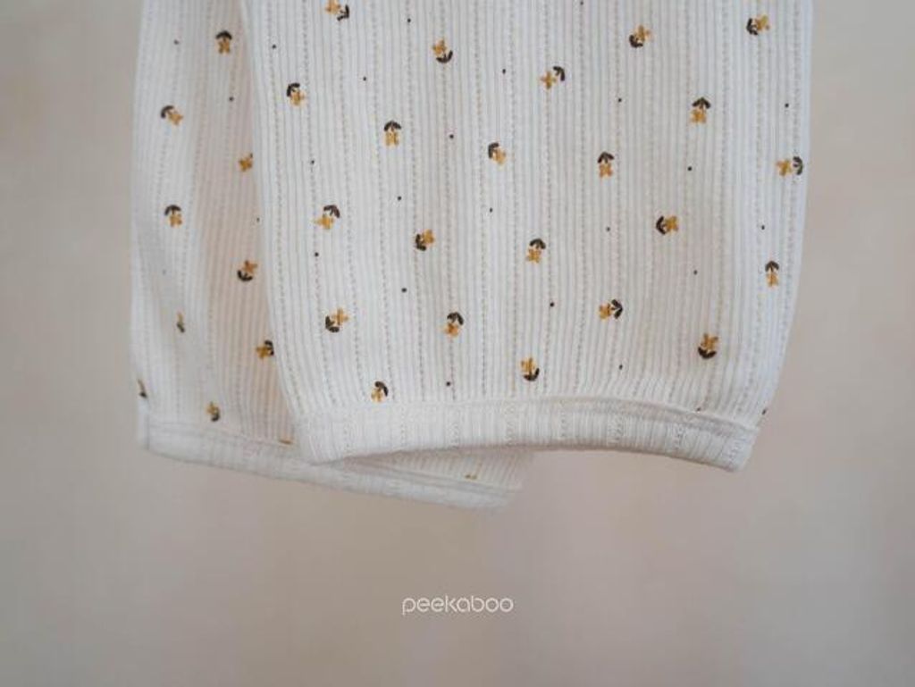 IMG_2490-1725527192196